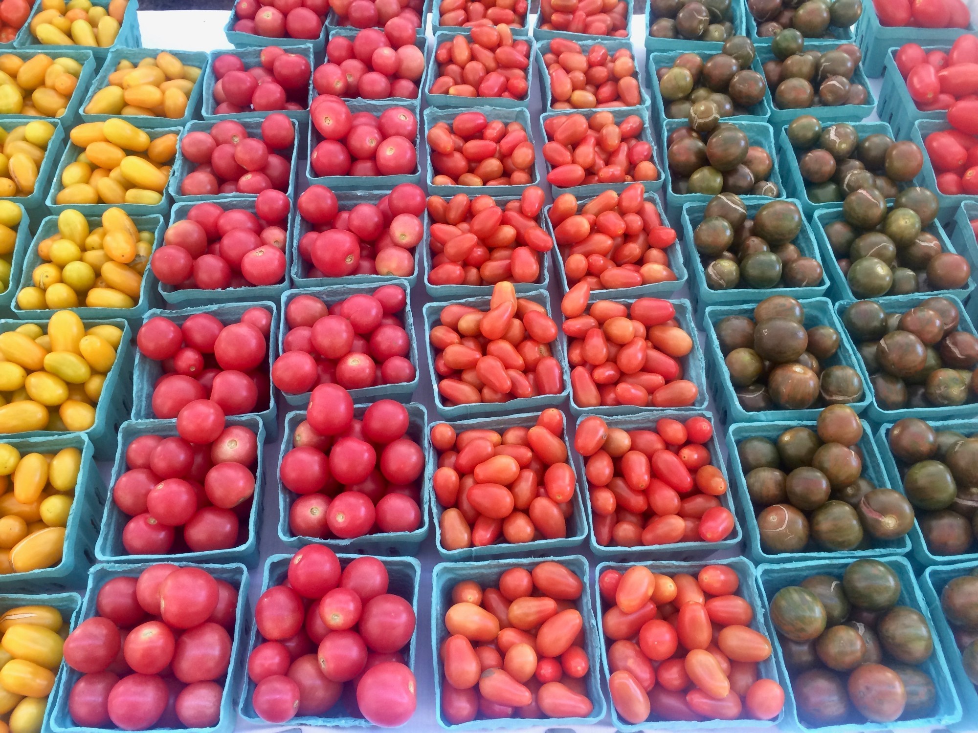 A variety of tomatoes from the columbia farmers market